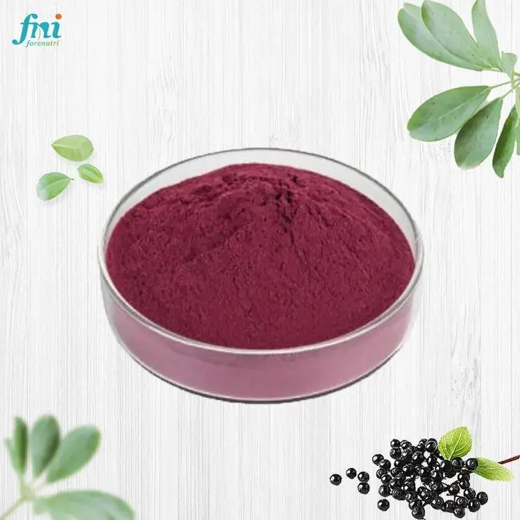 Elderberry Powder & Concentrate