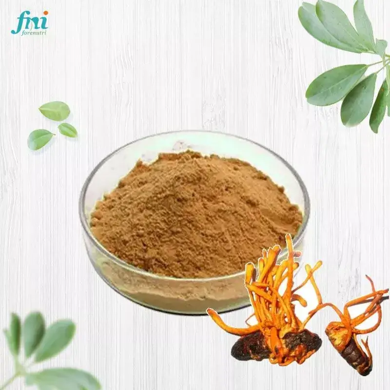 Cordyceps Militaris Extract