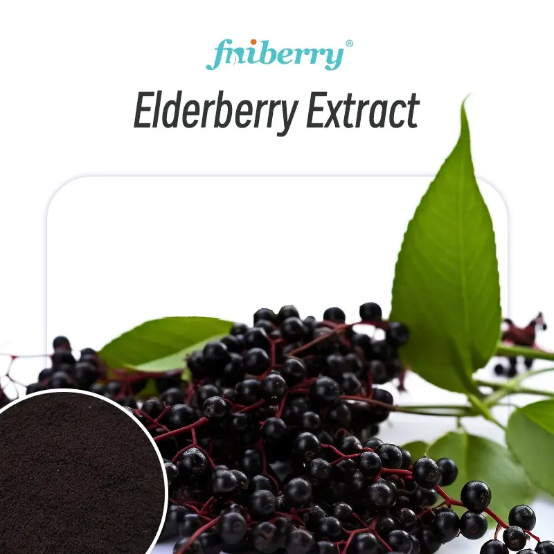 Elderberry Extract