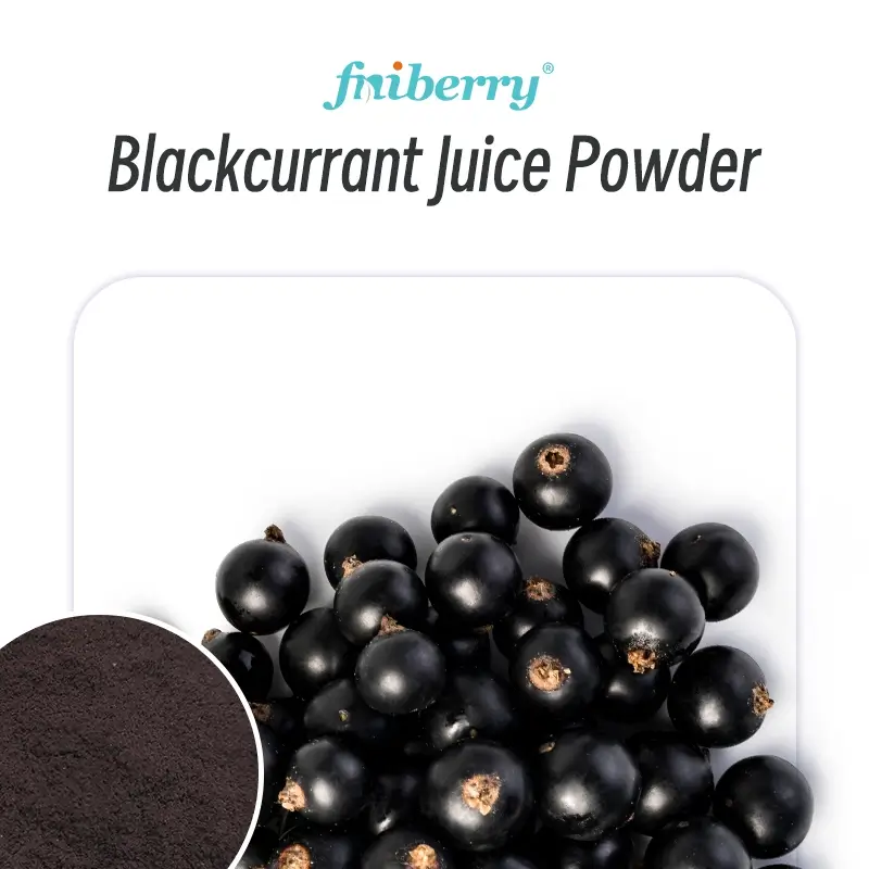 Blackcurrant Powder & Concentrate
