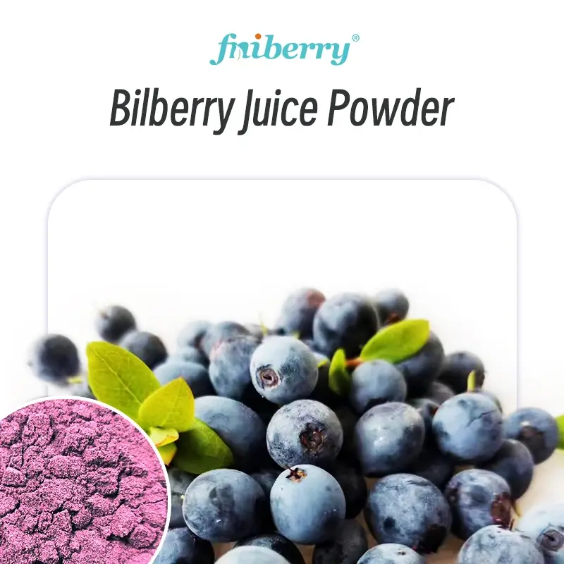 Bilberry Powder & Concentrate
