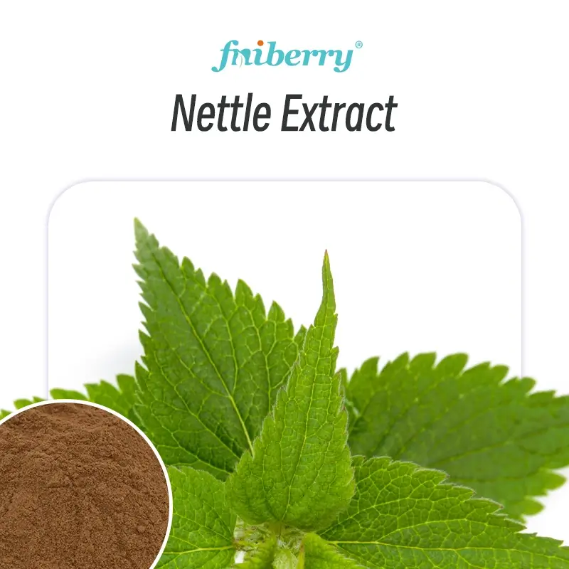Nettle Extract