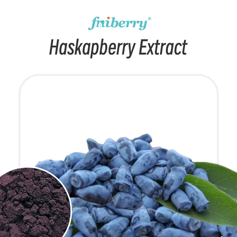 Haskapberry Extract