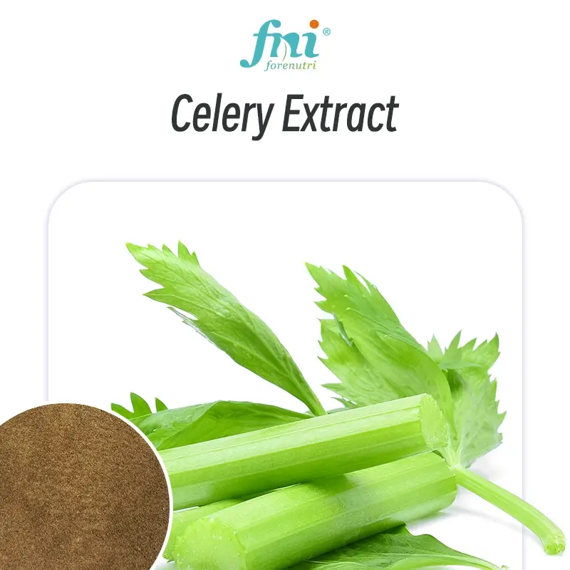 Celery Extract