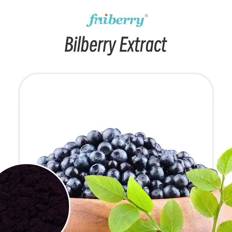 Bilberry Extract