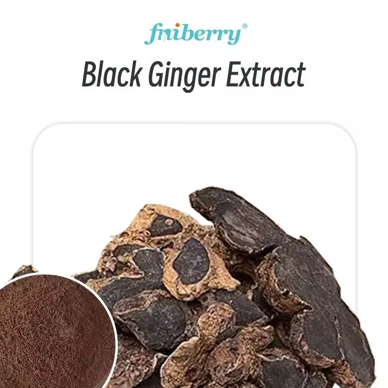 Black Ginger Extract