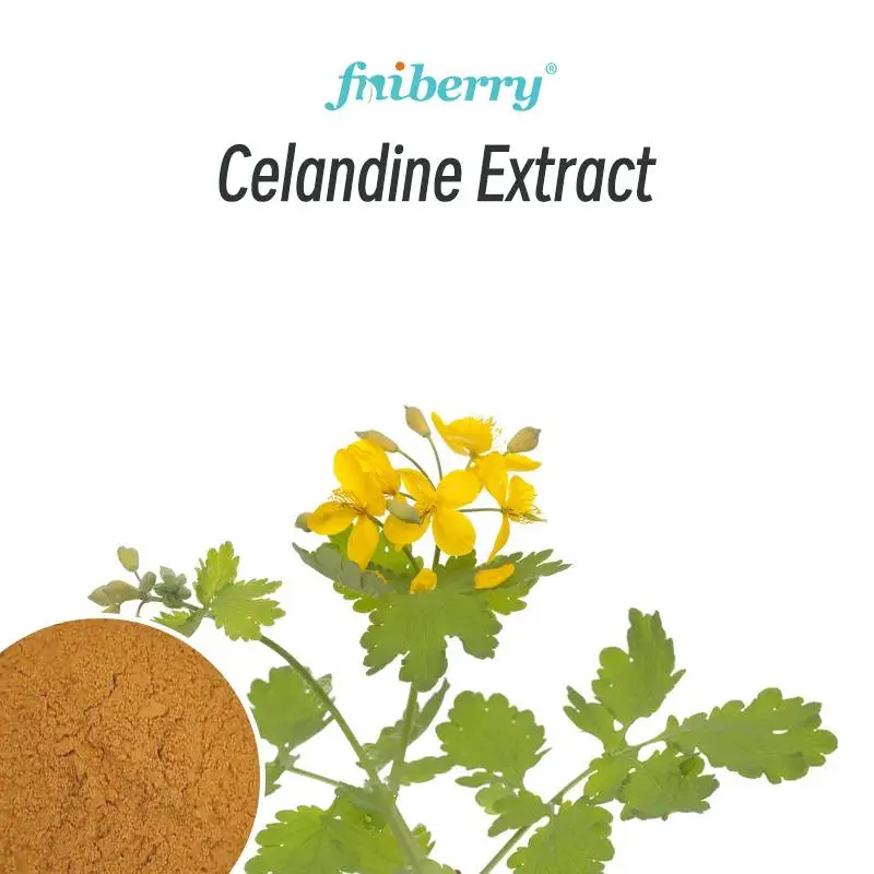 Celandine Extract