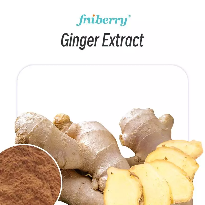 Ginger Extract