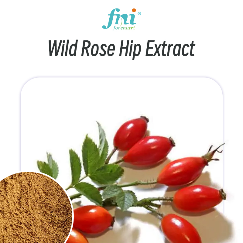 Wild Rose Hip Powder
