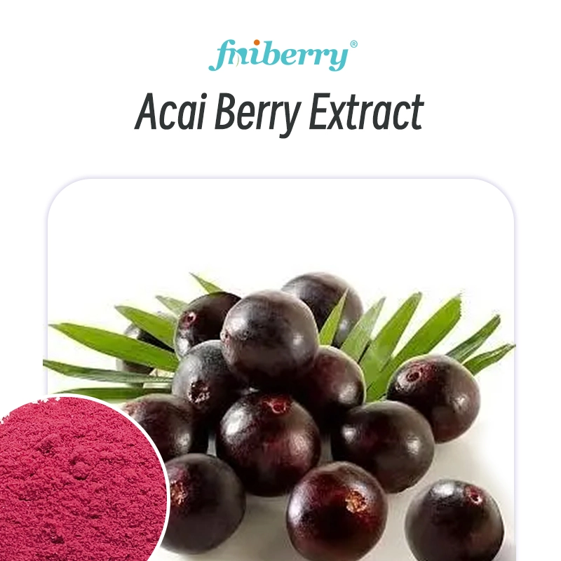 Acai Berry Extract