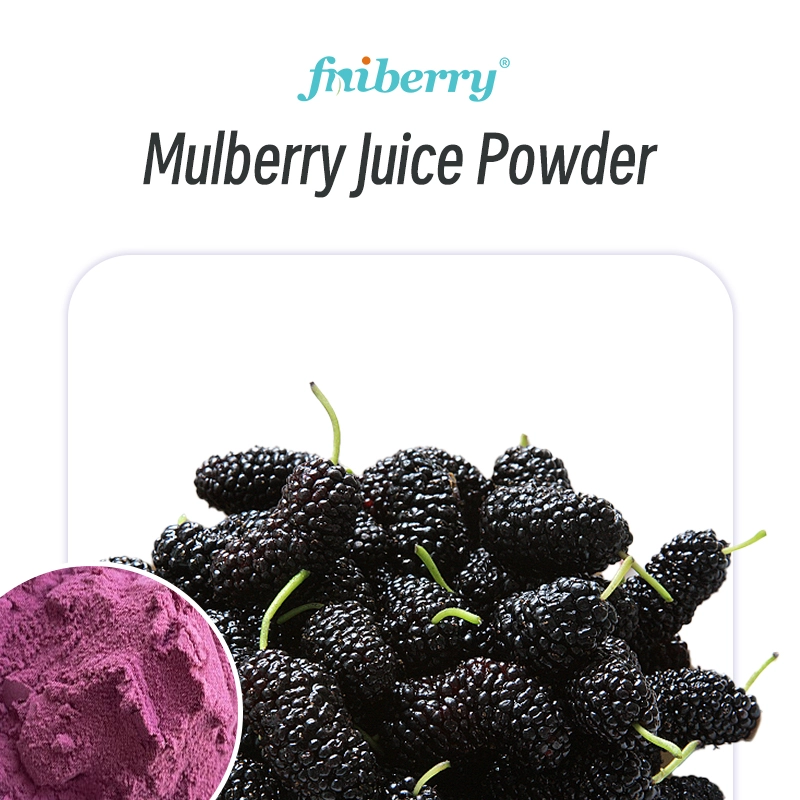 Mulberry Juice Powder