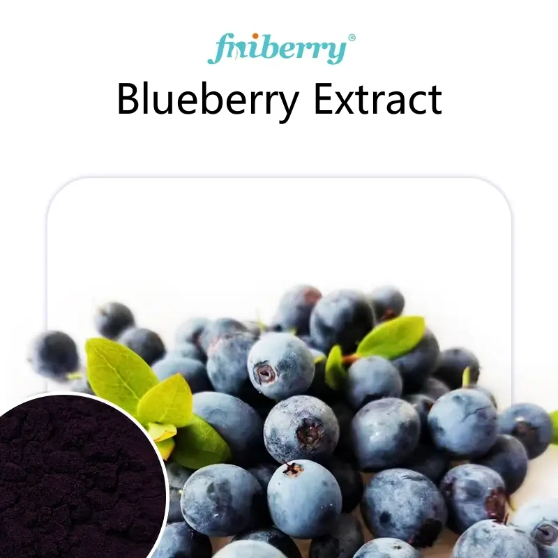 Wild Blueberry Extract