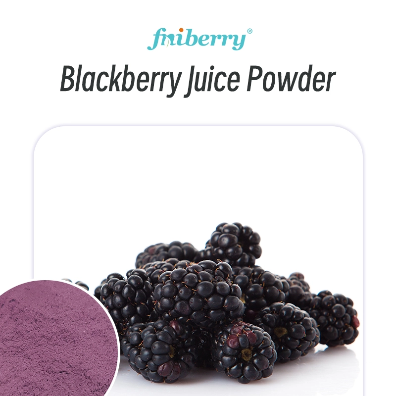 Blackberry Juice Powder