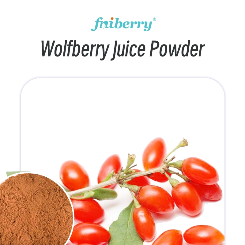 Wolfberry Juice Powder